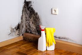 Trusted Whitwell, TN Mold Remediation Experts